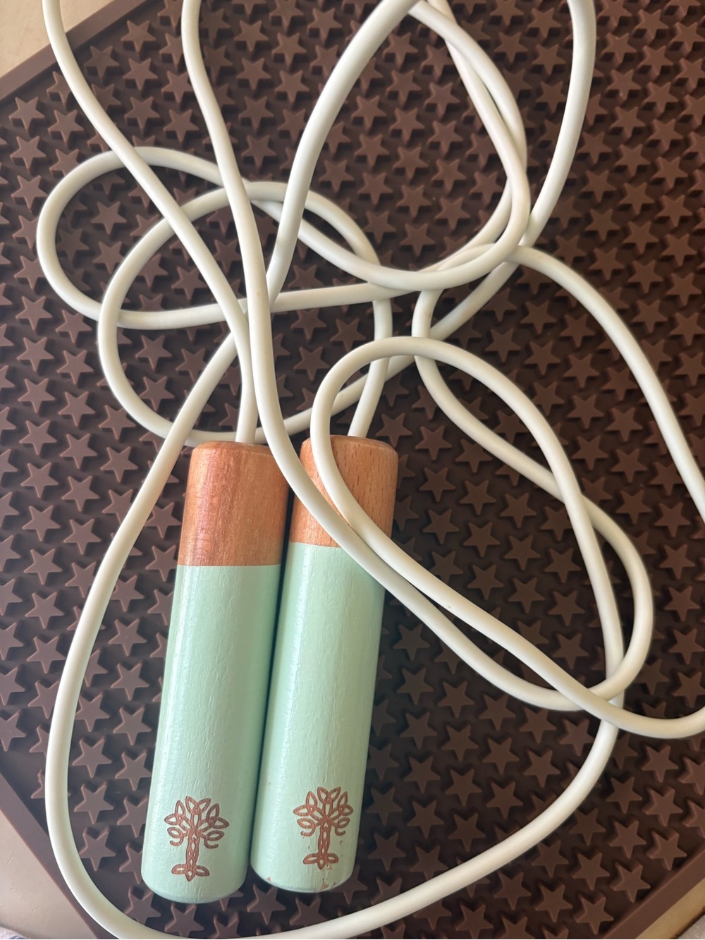 Mint Green Wooden Jump Rope with White Cord - Picture 3 of 3
